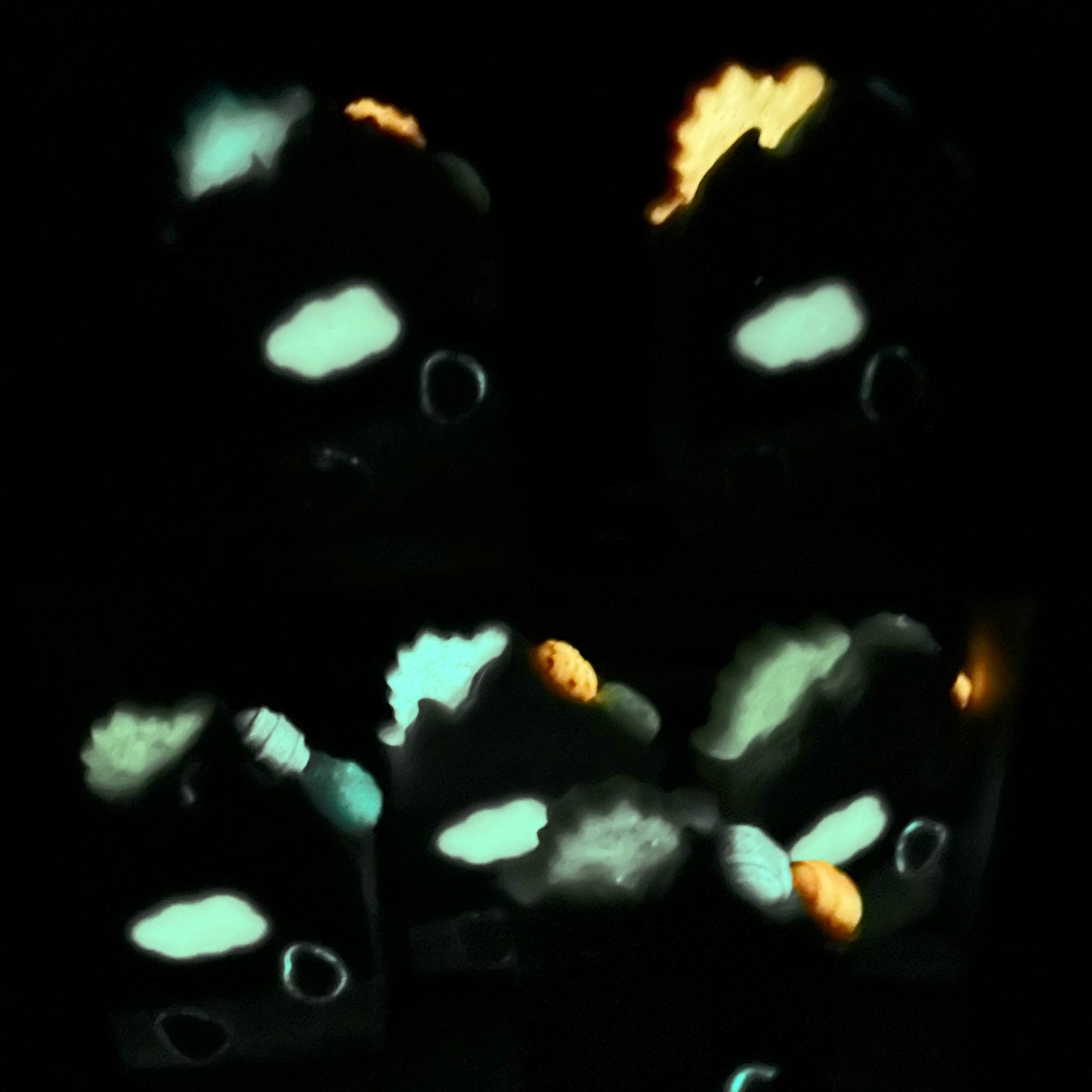 Whimsical Dino Babies with Eggs, Glow in the Dark Vegan Coconut Milk Soap